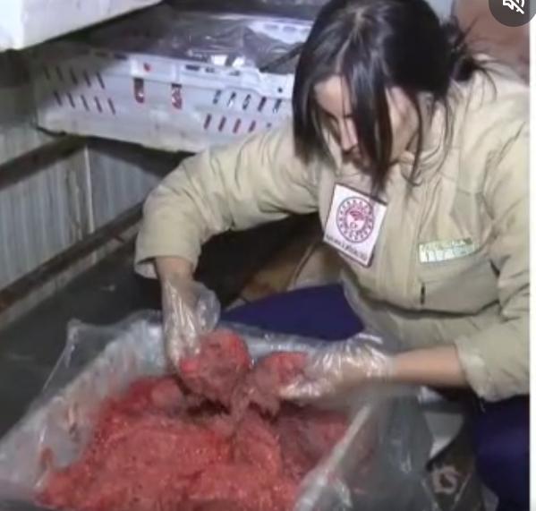 GIDA DA UYGUNSUZLUĞA GEÇİT YOK