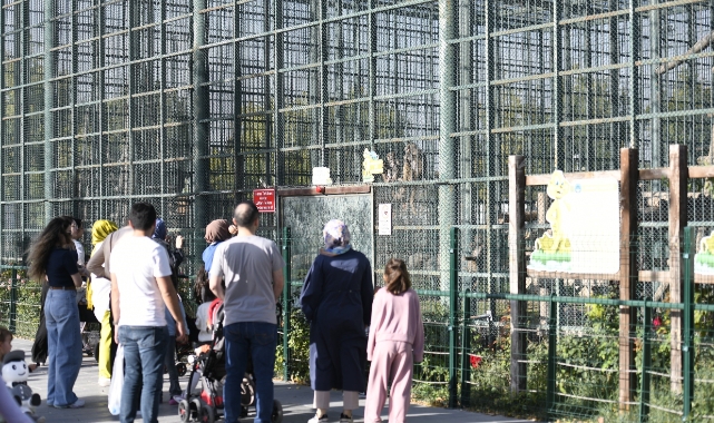 HAYVANAT BAHÇESİNE YOĞUN İLGİ