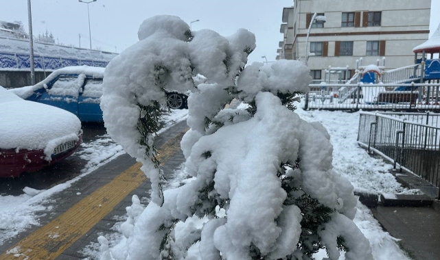 BUDA KAYSERİDE NİSAN KARI